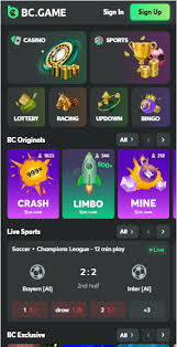 The Ultimate Guide to Winning on bc game br